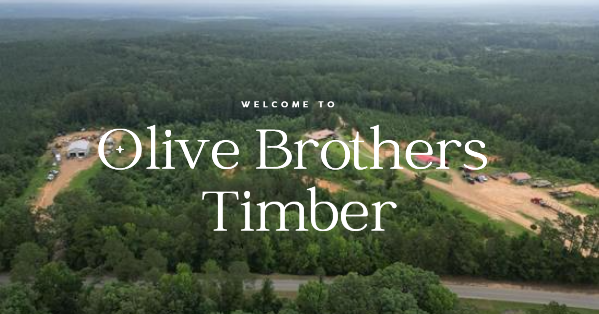 Olive Brothers Timber Company Net Worth